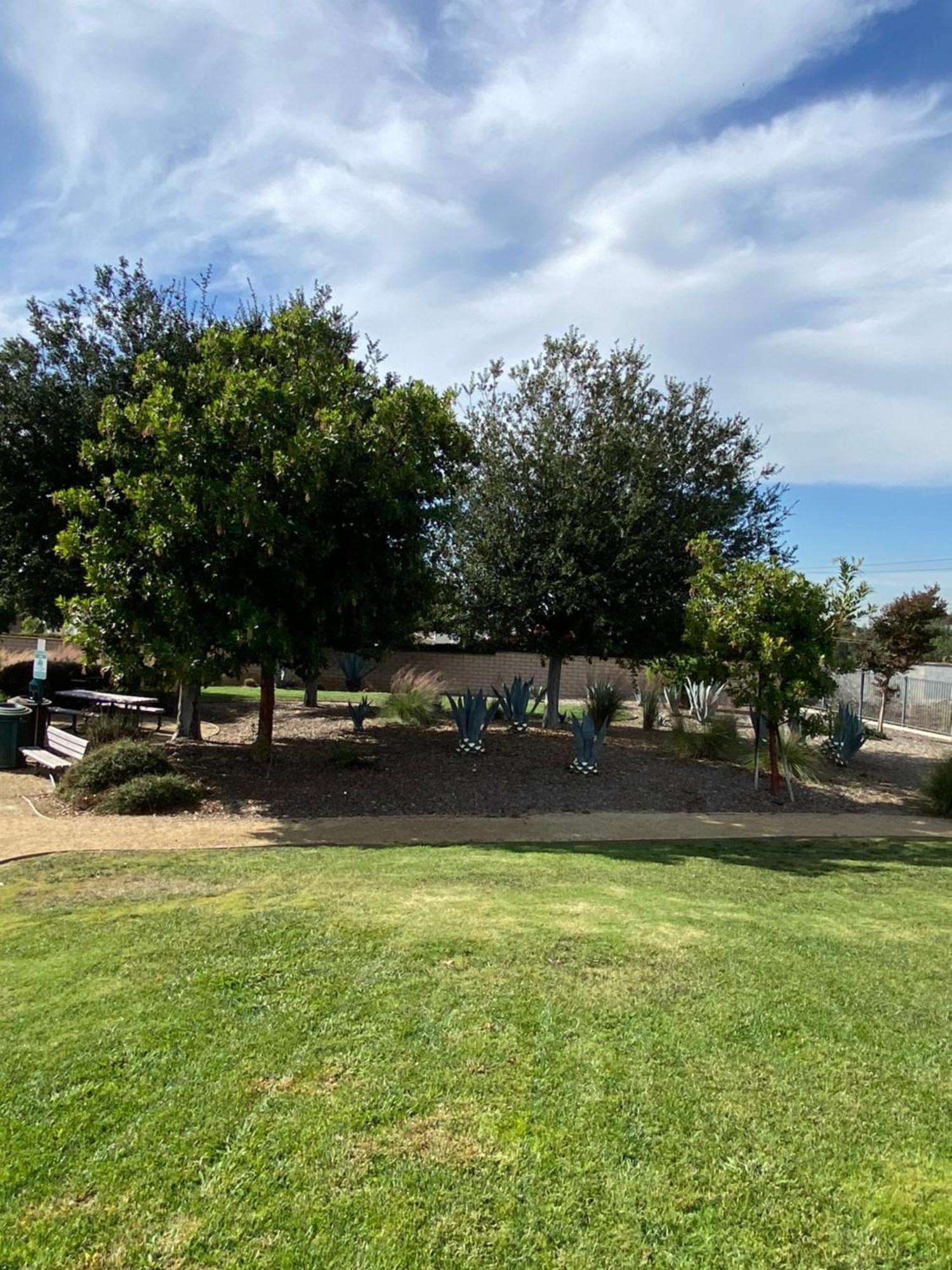 Olive Glen Los Angeles Exterior foto